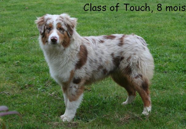 Class of Touch of Benito Farm