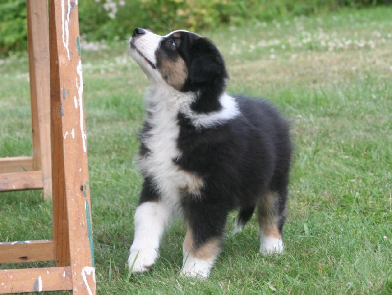 French Touch du Chemin de la Cottière